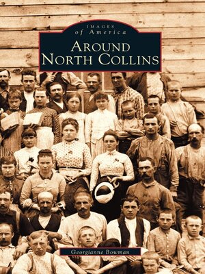 cover image of Around North Collins